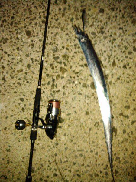 トップサーベリング